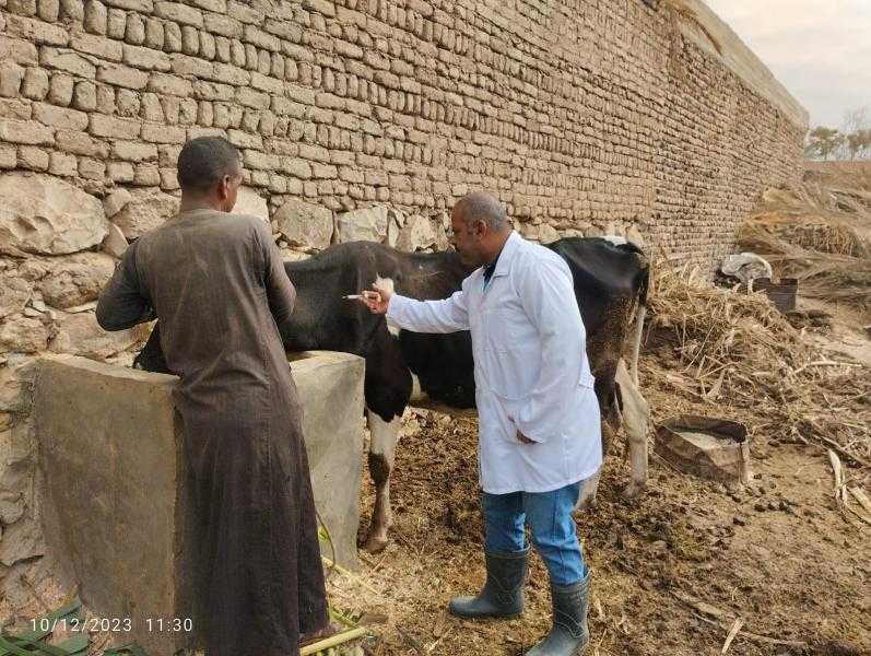 بيطري الأقصر تطلق فعاليات الحملة القومية ضد أمراض الجلد العقدي وجدري الأغنام