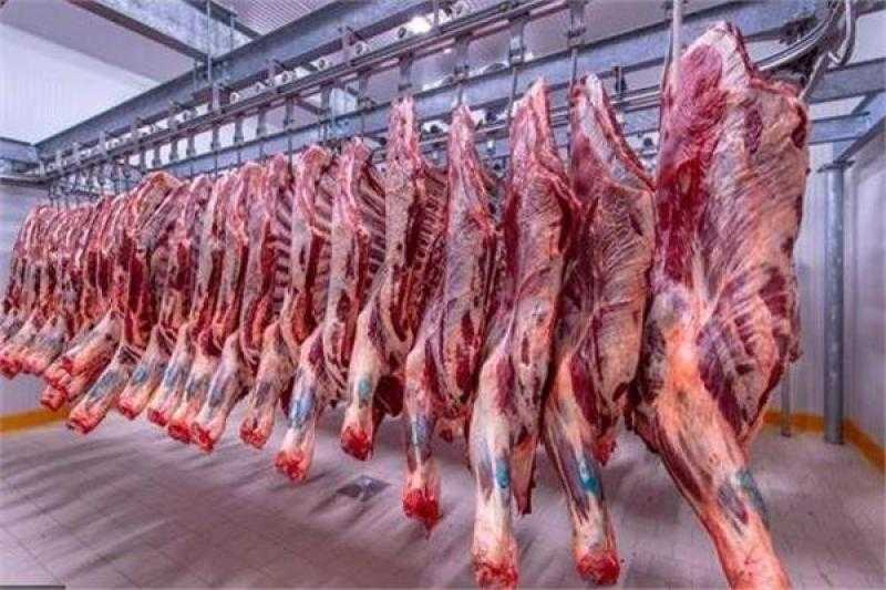نقيب الجزارين: لا يوجد تصدير للحوم وأصحاب المزارع وراء ارتفاع الأسعار