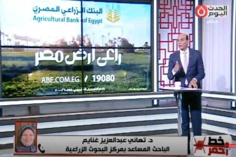 صرخة حاملي الدكتوراه بـ”البحوث الزراعية”: عايزين نحقق حلمنا.. فيديو