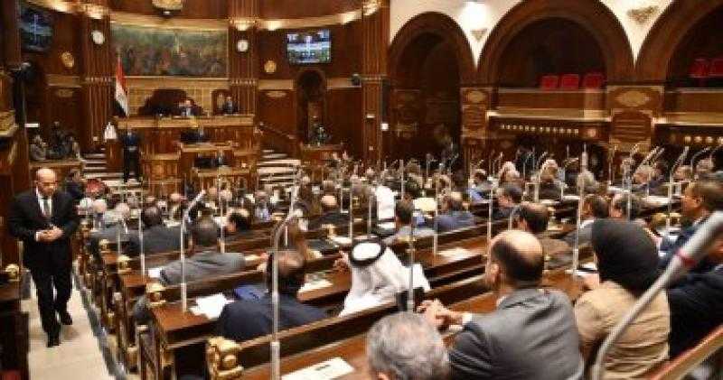 برلمانية حماة وطن: الدولة تستهدف زيادة المحاصيل الزراعية لتحقيق حلم 100 مليار دولار
