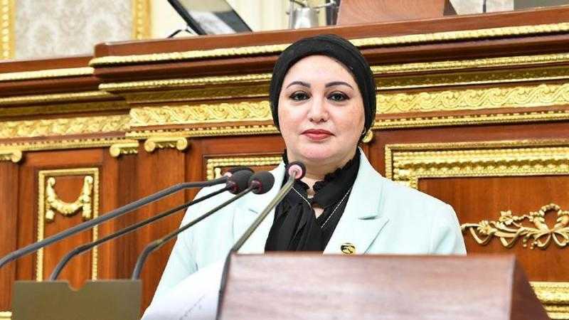طلب إحاطة في البرلمان لمنع استيراد السلع الاستفزازية