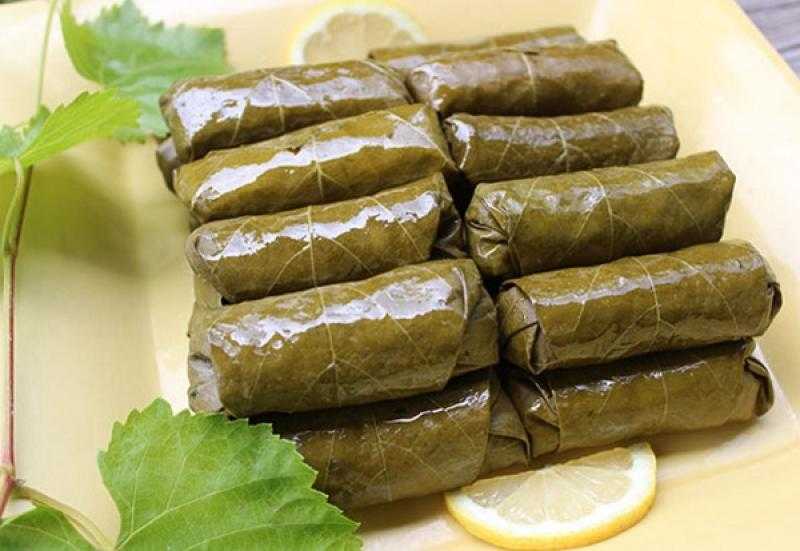 ورق العنب يساعد على خسارة الوزن.. تفاصيل