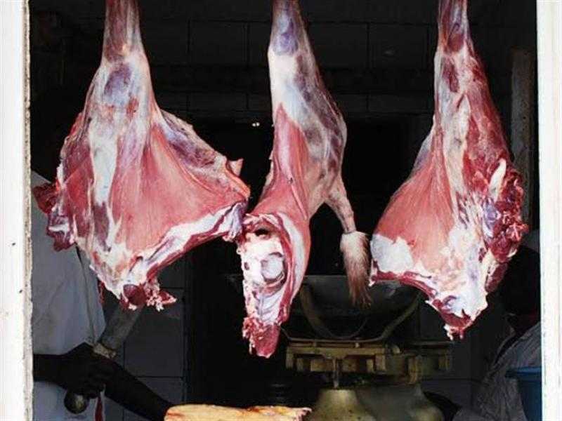 مقابل 280 جنيها.. الزراعة: أسعار اللحوم البلدي في منافذنا بمتناول الجميع