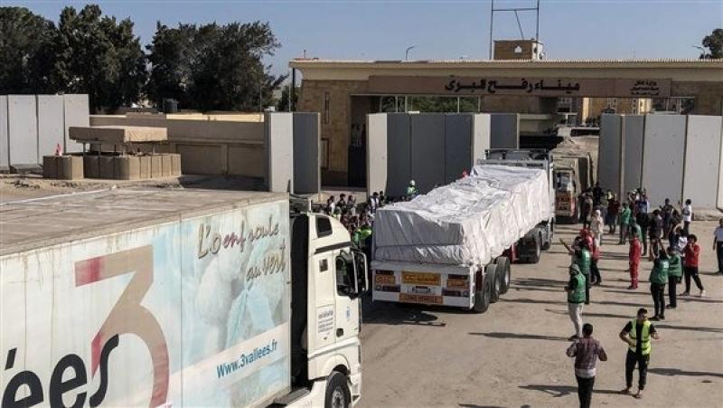 ”التحالف الوطني”: 80 % من مساعدات غزة جاءت من مصر