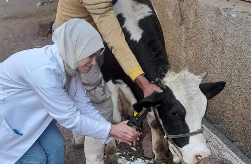 خط أحمر