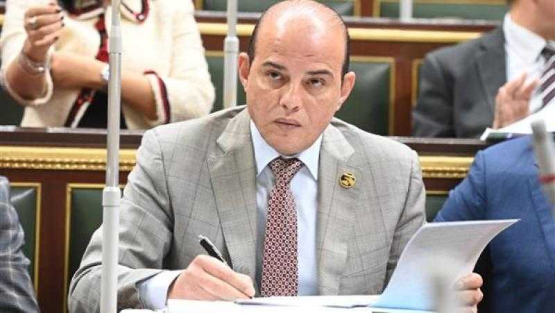 النائب عمرو القطامي: المصريون أكدوا للعالم رفضهم التهجير ودعمهم للقضية الفلسطينية
