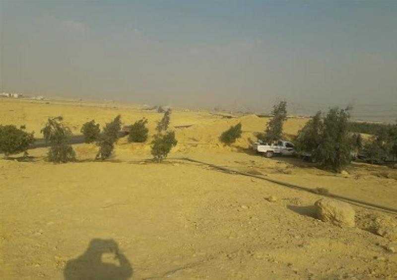 استرداد 45 فدانا من أملاك دولة بالظهير الصحراوي لمدينة المنيا