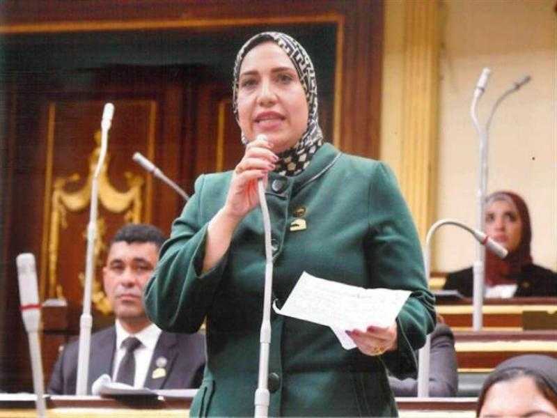 عضو بـ”النواب” تقترح تدشين قوافل ثقافية بالمناطق النائبة والقرى