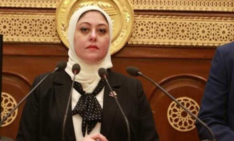نائبة التنسيقية: مبادرة ابدأ تدفع القطاع الصناعي للأمام ونطالب بخطة لمواجهة معوقات الصناعة