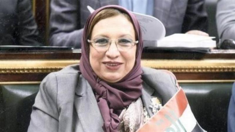 النائبة إيناس عبد الحليم تكشف إيجابيات مشروع قانون المنشآت الطبية