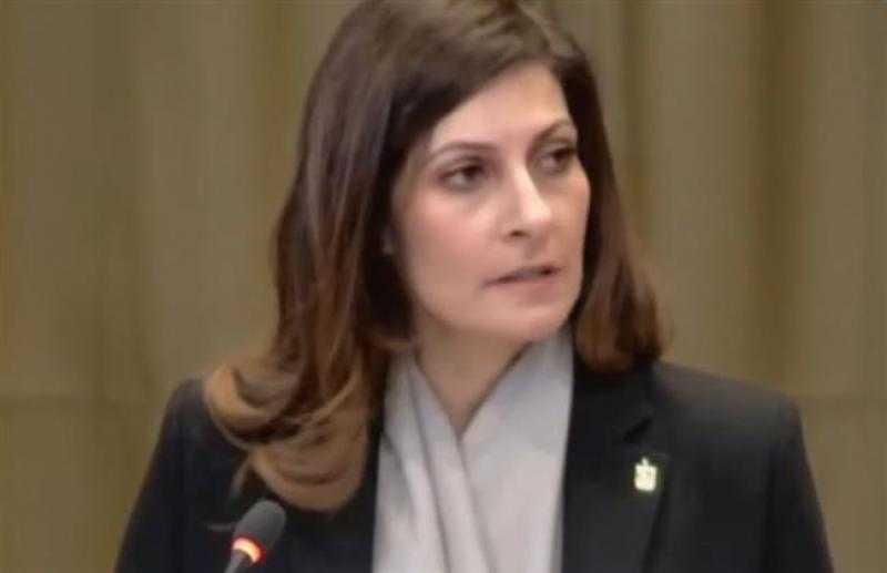 رئيس هيئة دعم فلسطين: مرافعة مصر أمام العدل الدولية ناقشت كل أبعاد قضيتنا