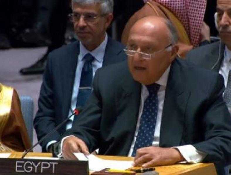 وزير الخارجية: مصر تواصل جهودها للتوصل إلى وقف إطلاق النار في غزة