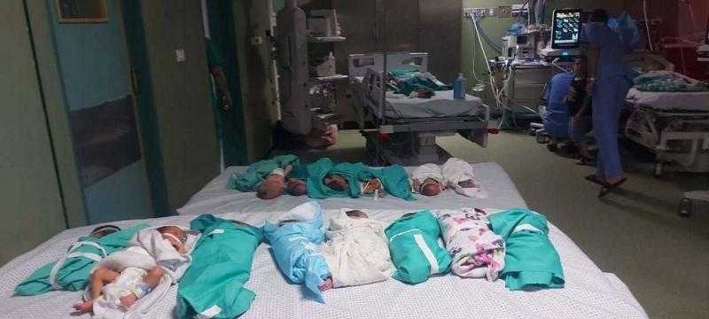 للمرة الأولى.. فريق أممي يزور مستشفى الشفاء في شمال قطاع غزة ويسلم مساعدات