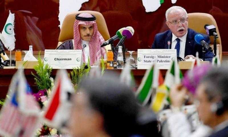 في جدة.. وزراء خارجية التعاون الإسلامي يبحثون العدوان الإسرائيلي على الفلسطينيين
