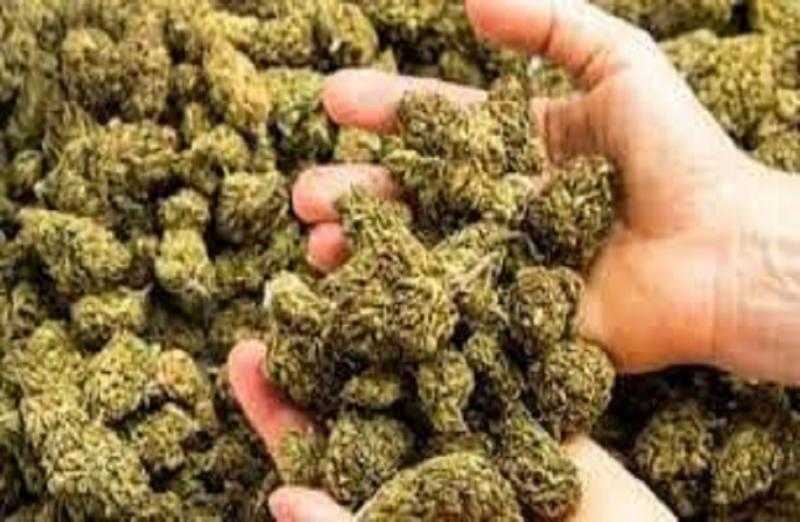 الأمن ينجح في ضبط أكثر من 12 ألف كيلو «الهيدرو» في أسبوع