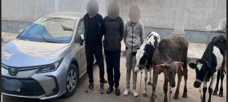 خط أحمر
