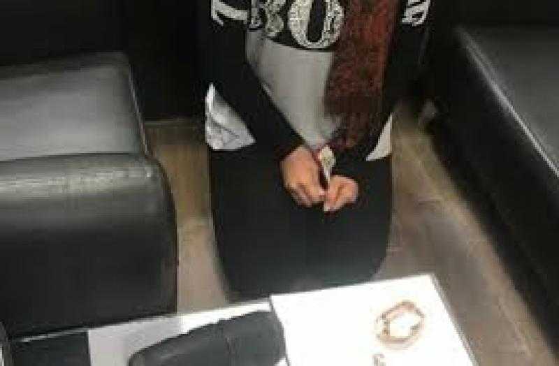 ضبط خادمة سرقت مجوهرات من شقة فى الجيزة