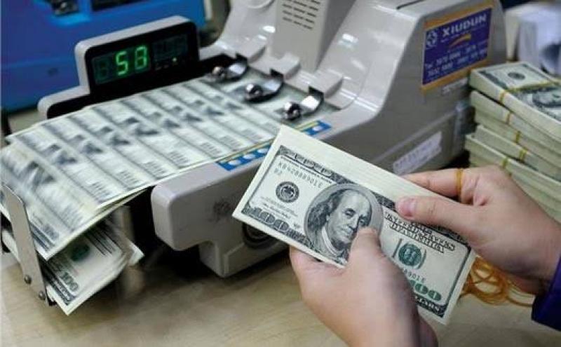 الأهلي ومصر للصرافة تجذبان نقداً أجنبياً يعادل 720 مليون جنيه خلال 5 أيام