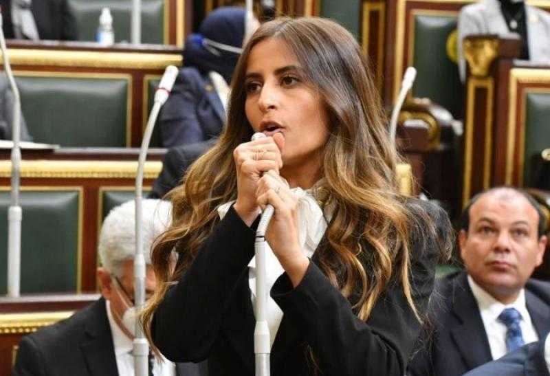 خارجية النواب: مواصلة مصر إسقاط المساعدات على غزة امتداد لجهودها في دعم الأشقاء