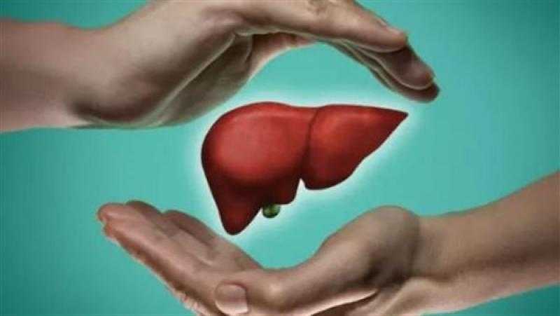 الألياف والدهون الصحية تحسن صحة الكبد.. خبيرة تغذية توضح