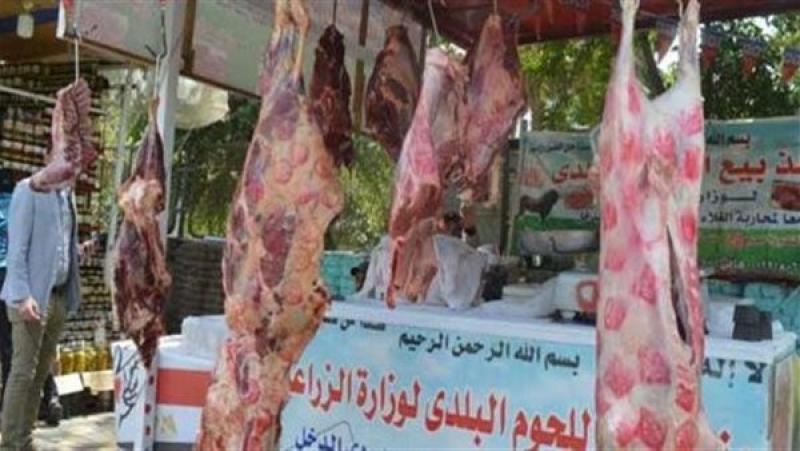الزراعة تُطرح اللحوم الحمراء بأسعار مخفضة في جنوب سيناء خلال رمضان
