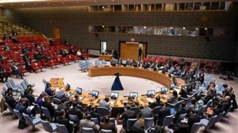 مندوب سلوفينيا أمام مجلس الأمن يُثمن جهود مصر وقطر لإنهاء الأزمة الإنسانية في غزة