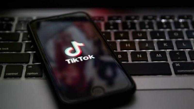 13 دولة تحظر تطبيق TikTok