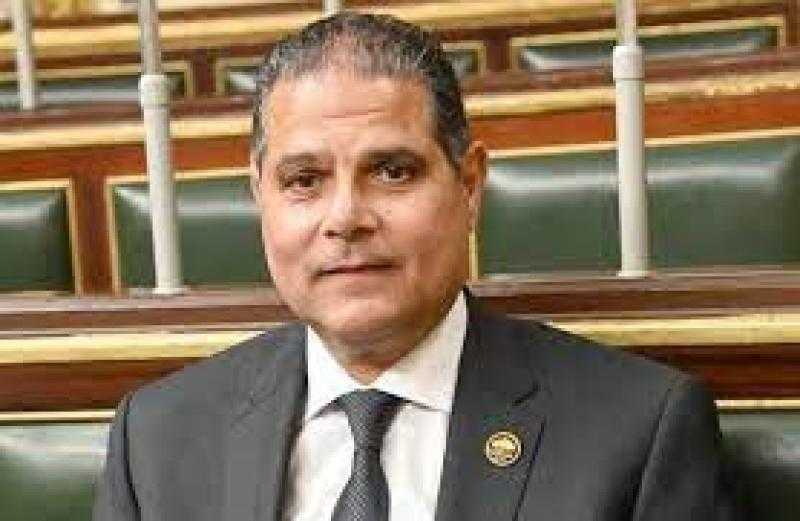 أحمد الخشن: الرئيس نهض بالبلاد خلال 10 سنوات وحقق مكاسب استراتيجية عليا للدولة المصرية