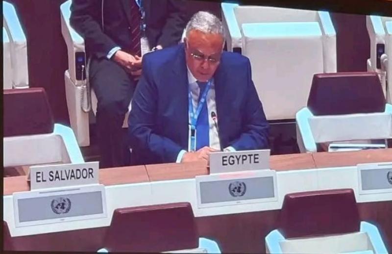 مصر تؤكد أمام المجلس الأممي لحقوق الإنسان رفضها القاطع لسياسة الاستيطان الإسرائيلية غير الشرعية