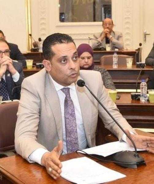 نشأت العمدة: الرئيس السيسي يكثف لقاءاته الدولية لبحث إنهاء العدوان على غزة