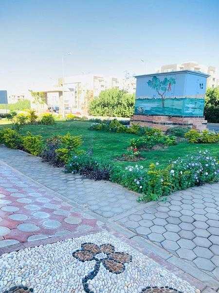 استكمال أعمال صيانة المسطحات الخضراء بمدن الشيخ زايد والشروق ودمياط الجديدة