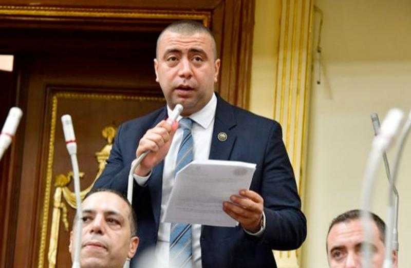 رئيس ”برلمانية حماة الوطن”: نجدد العهد بمساندة الدولة المصرية