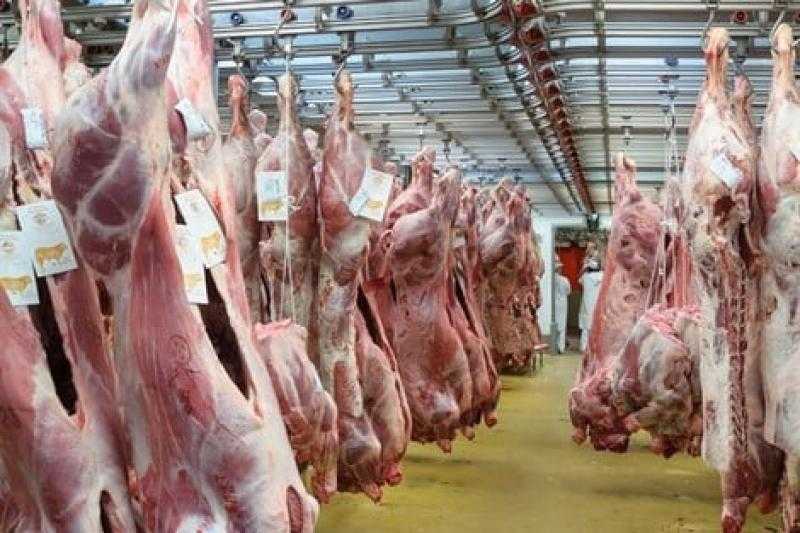 أماكن مجازر دمياط لذبح أضاحي العيد بالمجان.. تفاصيل