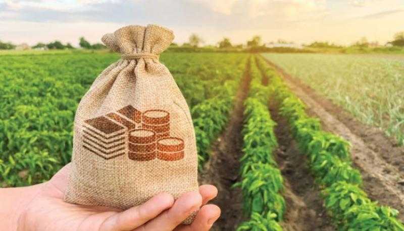 بعائد يبدأ من 5%.. تفاصيل تمويل المشروعات الزراعية من البنك الأهلي المصري