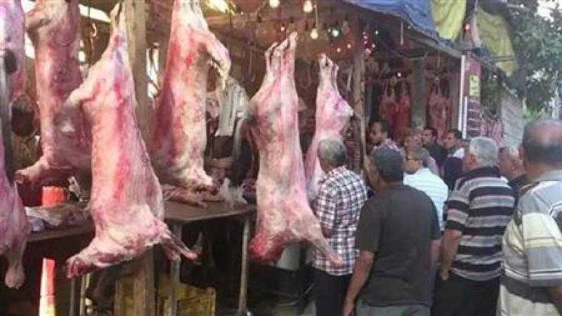 حملات مشتركة للتفتيش على محال بيع الأسماك واللحوم بالقاهرة خلال عيد الفطر