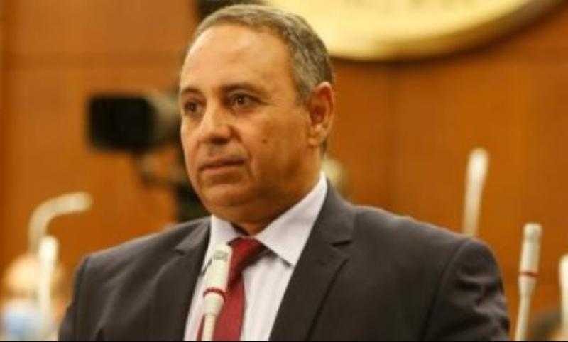 تيسير مطر: التضامن العربي والدولي مع فلسطين جاء نتيجة قدرة مصر على تدويل القضية