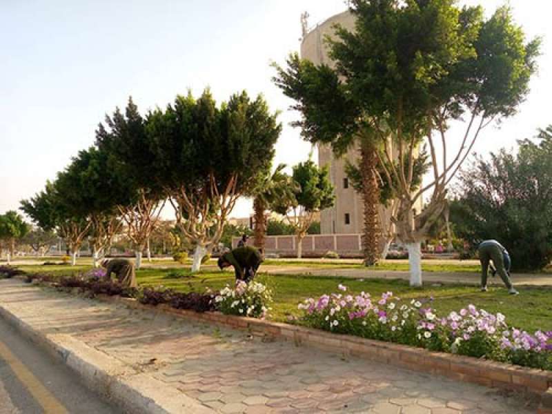 خط أحمر