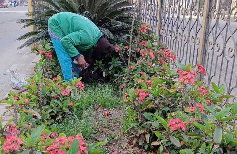 الحدائق والمتنزهات في الغربية تستعد لاستقبال المواطنين في عيد الفطر| صور