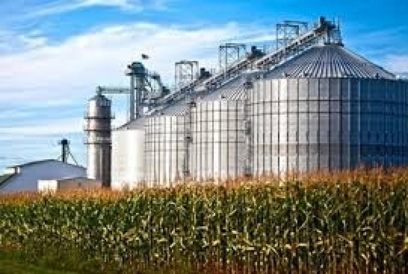 محافظ الشرقية يعلن جاهزية صوامع التخزين لاستقبال موسم القمح 2024