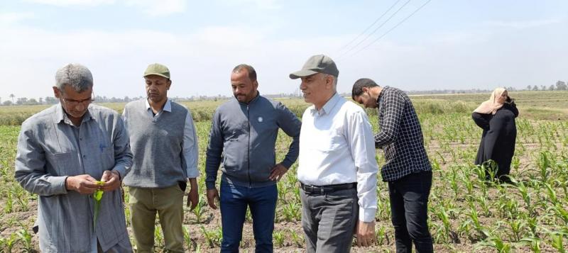 الزراعة تتابع البرامج البحثية وتجهيز التقاوي للمحاصيل الإستراتيجية في محطة بحوث سدس بمحافظة بنى سويف