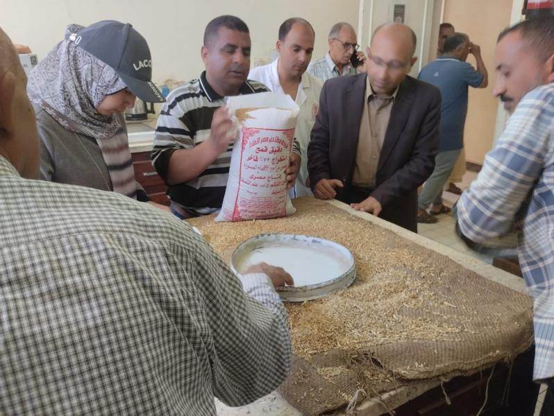 مع بداية موسم حصاد القمح.. صوامع سوهاج تستقبل بشائر محصول الذهب الأصفر