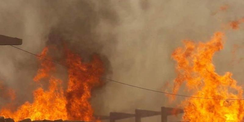 إصابة شخصين ونفوق رؤوس ماشية في حريق أحواش بكوم أمبو