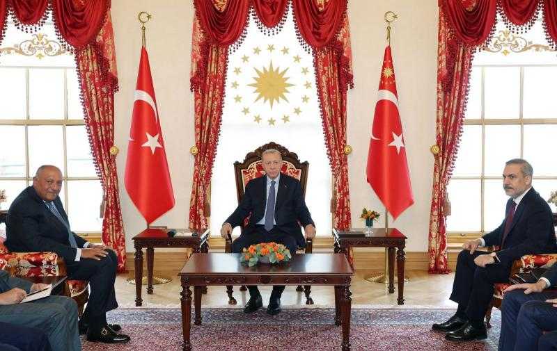 شكري: زيارتي لإسطنبول جاءت ضمن الإعداد لزيارة الرئيس السيسي إلى تركيا