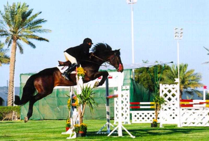 انطلاق البطولة العربية العسكرية للفروسية في مصر بمشاركة 10 دول عربية.. الأربعاء