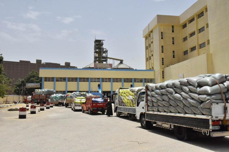 محافظ أسيوط: توريد 5042 طن قمح في 28 شونة منذ بدء موسم التوريد
