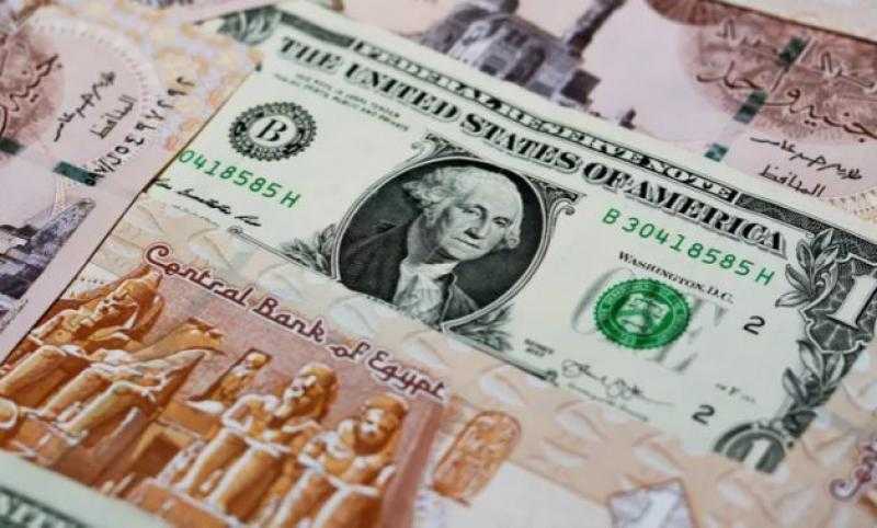 استقرار سعر الدولار وانخفاض اليورو في البنوك المصرية