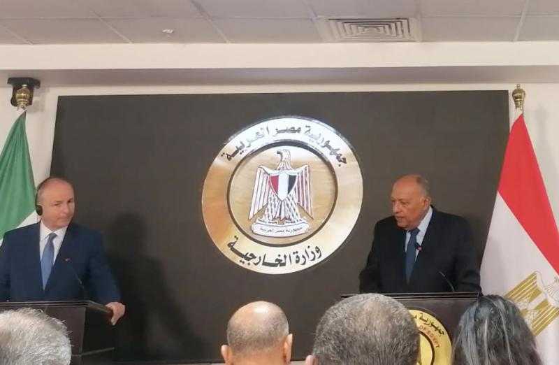 وزير الخارجية: مصر استقبلت 5 آلاف جريح من غزة.. ونعمل على منح التأشيرات لراغبي الخروج من القطاع