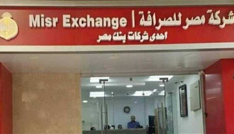 «مصر للصرافة»: 6.9 مليار جنيه إجمالي حصيلة التنازلات عن العملات الأجنبية منذ تحرير سعر الصرف