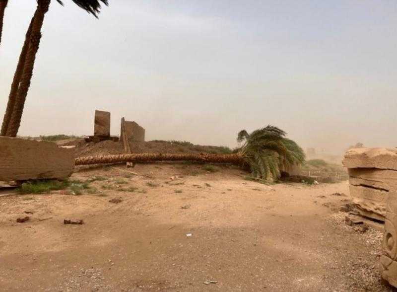 سقوط الكابل الكهربائي وعدد من الأشجار جراء العاصفة الترابية في قوص بقنا
