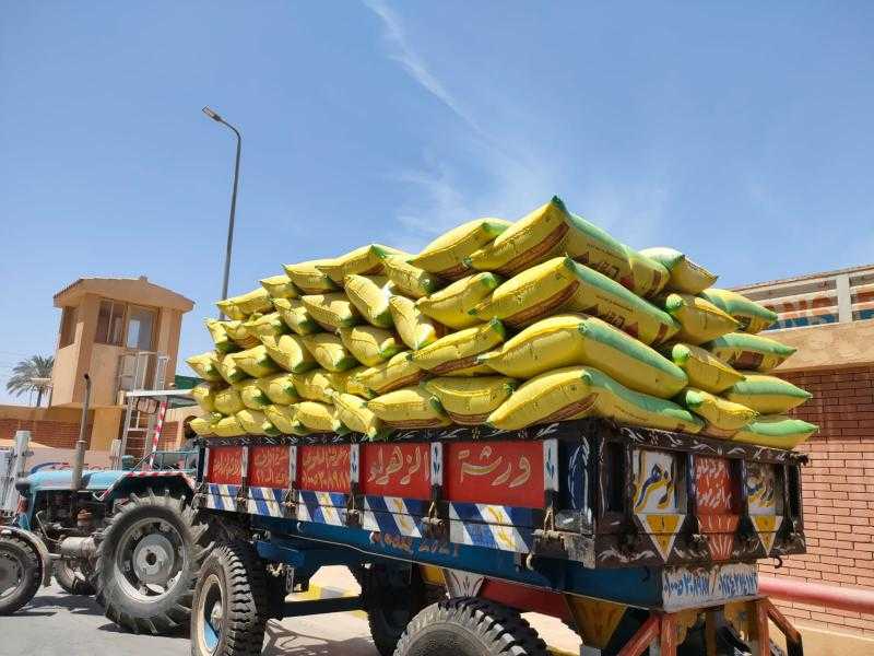 توريد 3697 طنا من القمح للصوامع بالإسكندرية